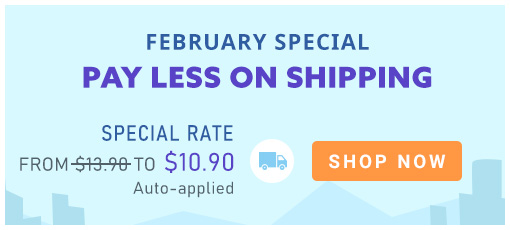 Payless clearance shipping coupon